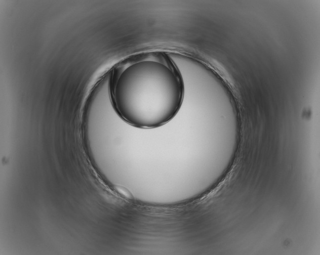 X0000091091172200708201450