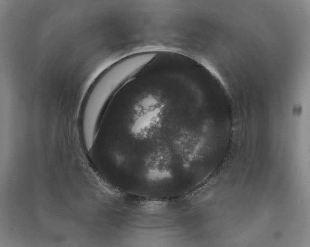 X0000091091173200708201450