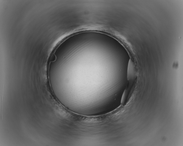 X0000091091174200708201450