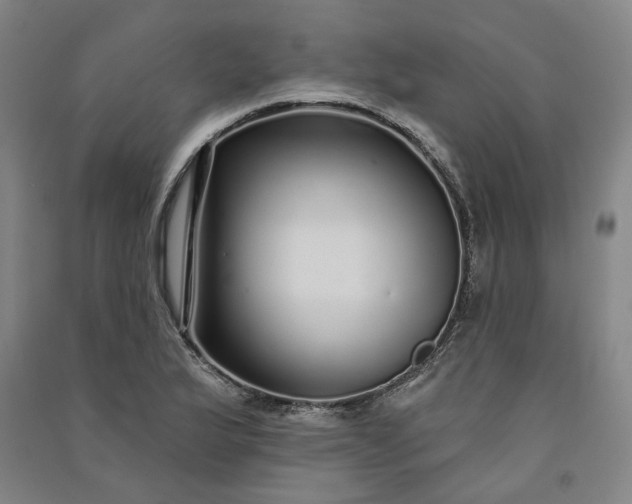 X0000091091175200708201450