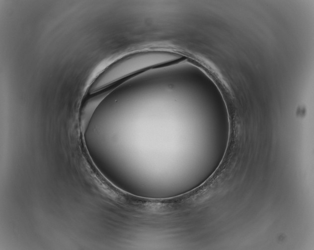 X0000091091176200708201450