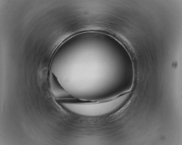X0000091091177200708201450