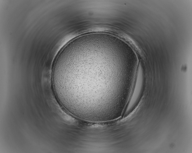 X0000091091178200708201450