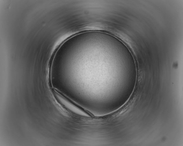 X0000091091179200708201450