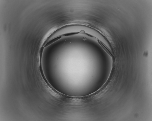 X0000091091180200708201450