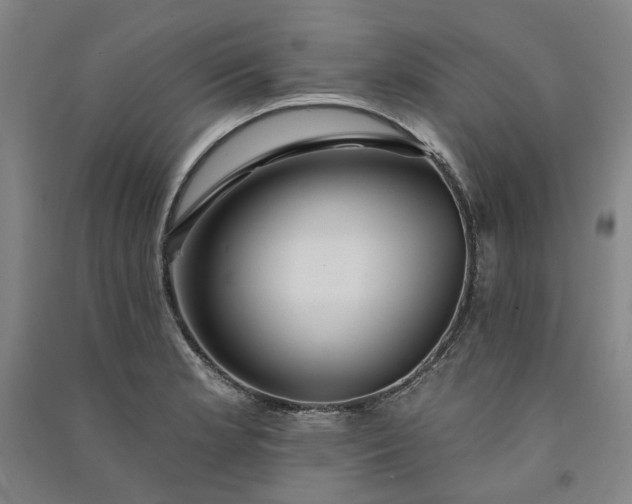 X0000091091181200708201450