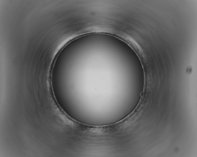 X0000091091182200708201450