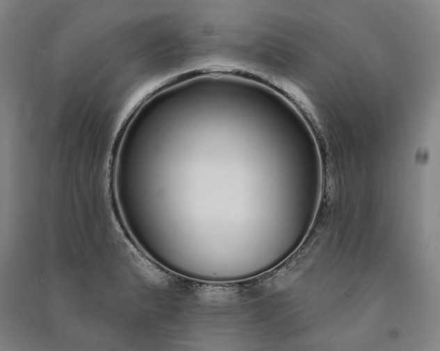 X0000091091183200708201450