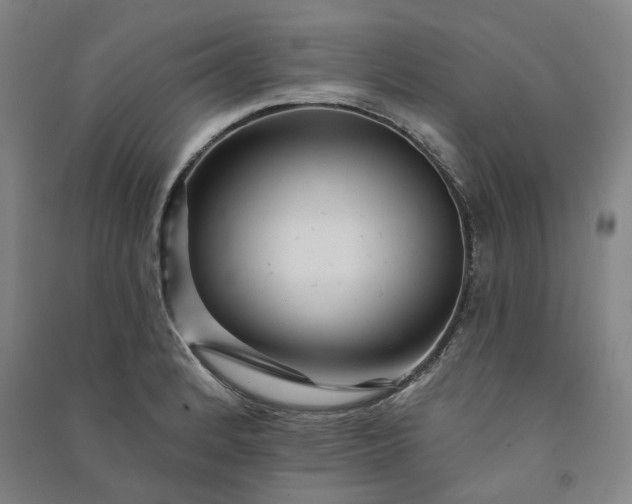 X0000091091184200708201450