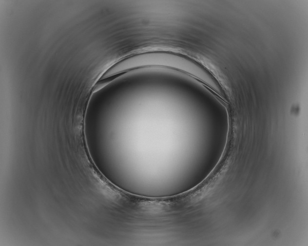 X0000091091185200708201450