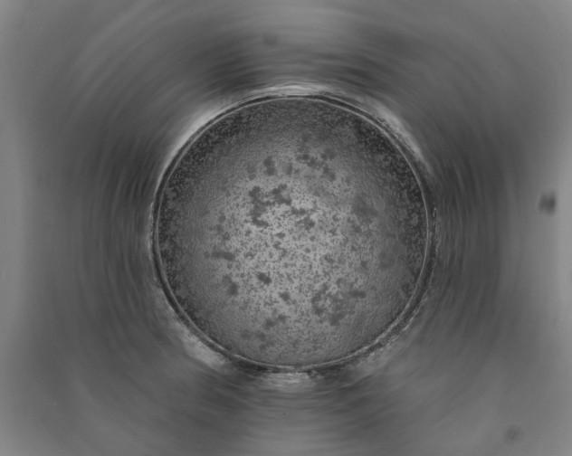 X0000091091186200708201450