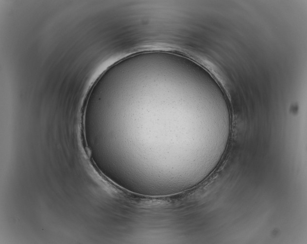 X0000091091187200708201450
