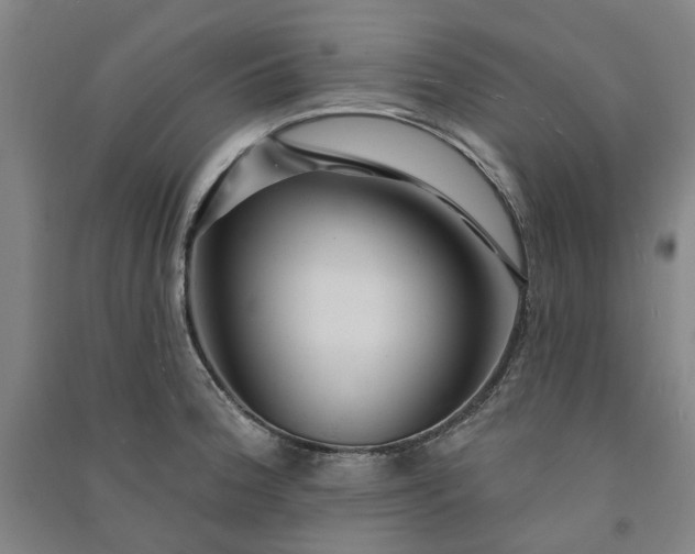 X0000091091188200708201450