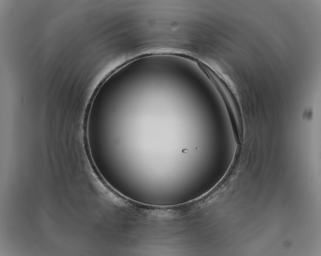 X0000091091189200708201450