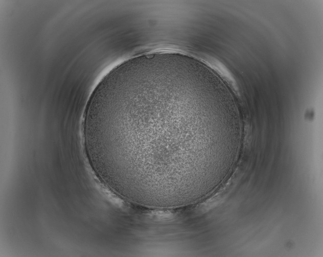 X0000091091190200708201450