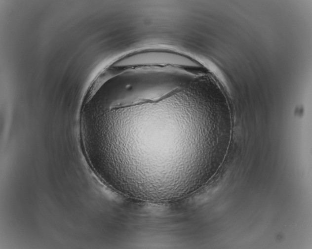 X0000091091191200708201450