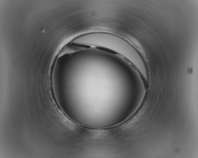 X0000091091192200708201450