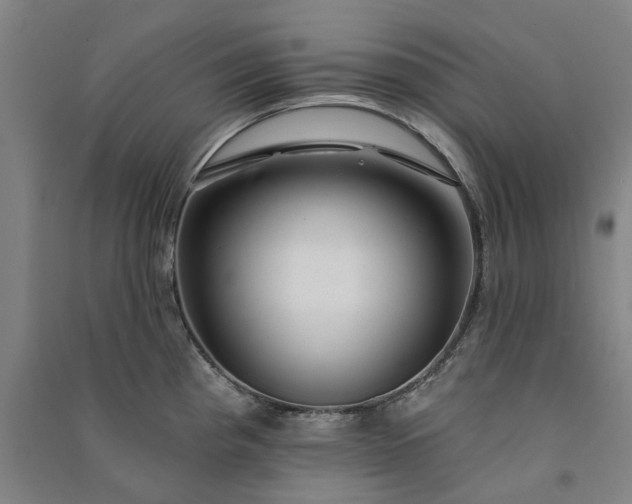 X0000091091193200708201450