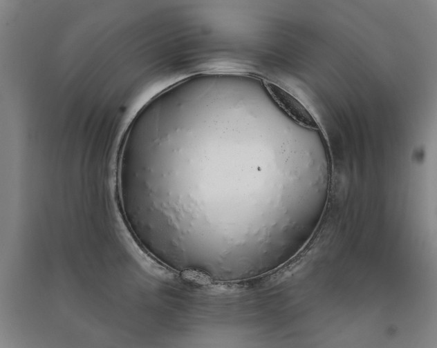 X0000091091195200708201450