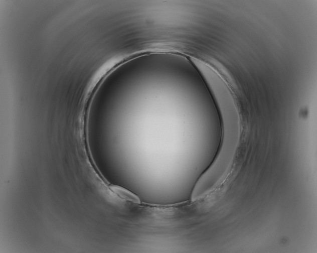 X0000091091196200708201450