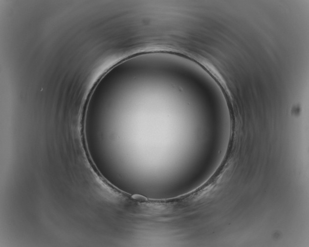 X0000091091197200708201450