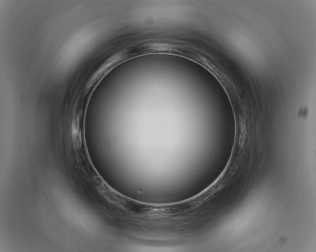 X0000091091198200708201450