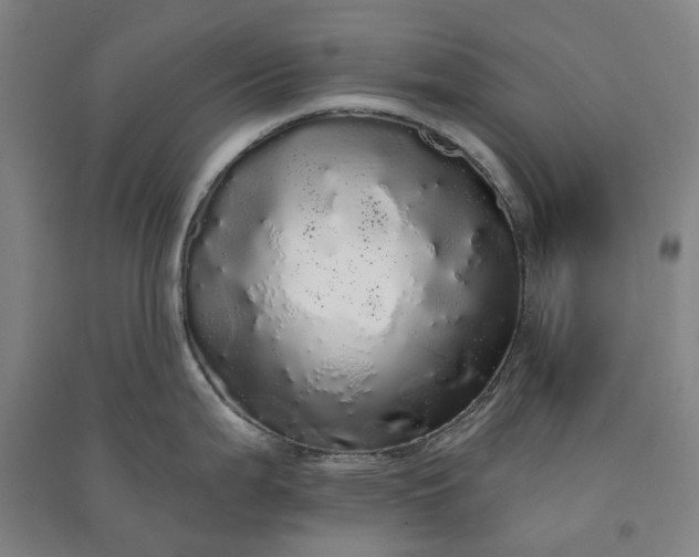 X0000091091199200708201450