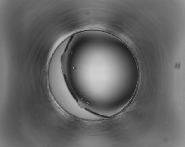 X0000091091200200708201450