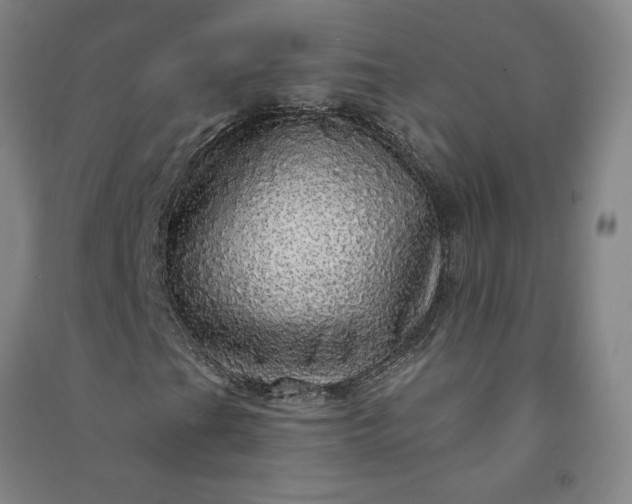 X0000091091201200708201449