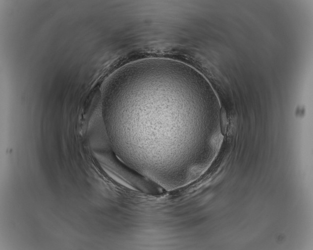 X0000091091202200708201449