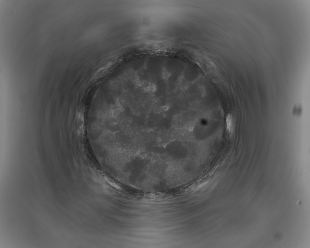X0000091091203200708201449