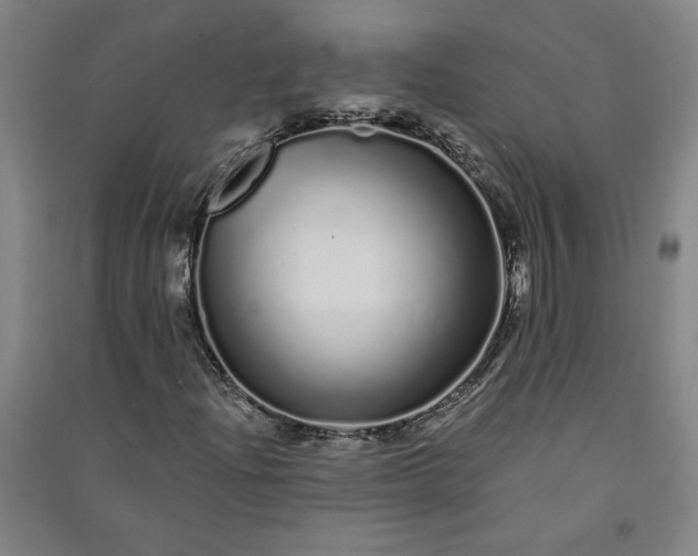 X0000091091204200708201449