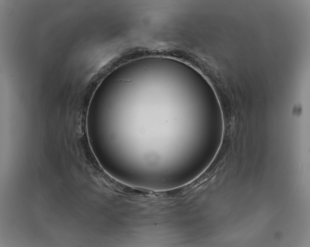 X0000091091205200708201449