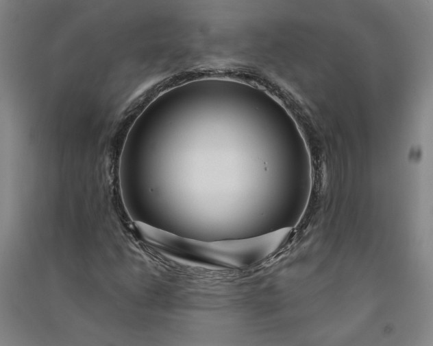 X0000091091206200708201449