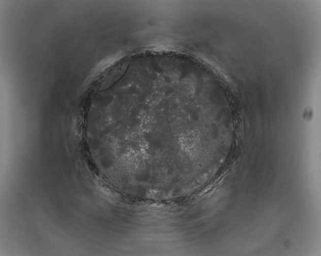 X0000091091207200708201449