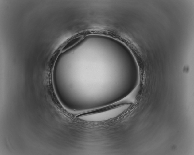 X0000091091208200708201449