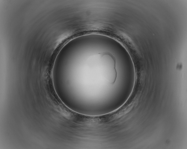 X0000091091210200708201449