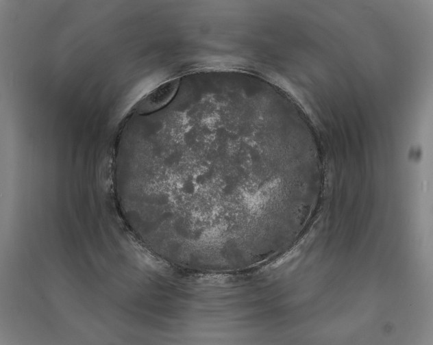 X0000091091211200708201449