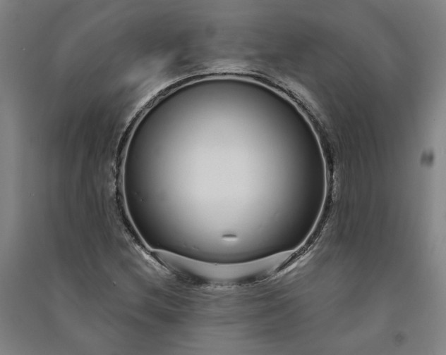 X0000091091212200708201449