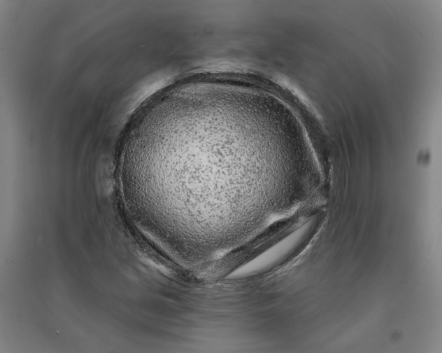 X0000091091213200708201449