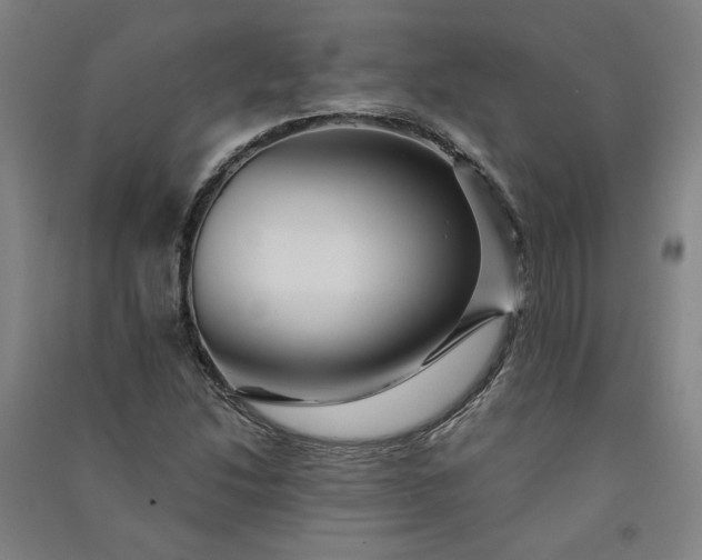 X0000091091214200708201449