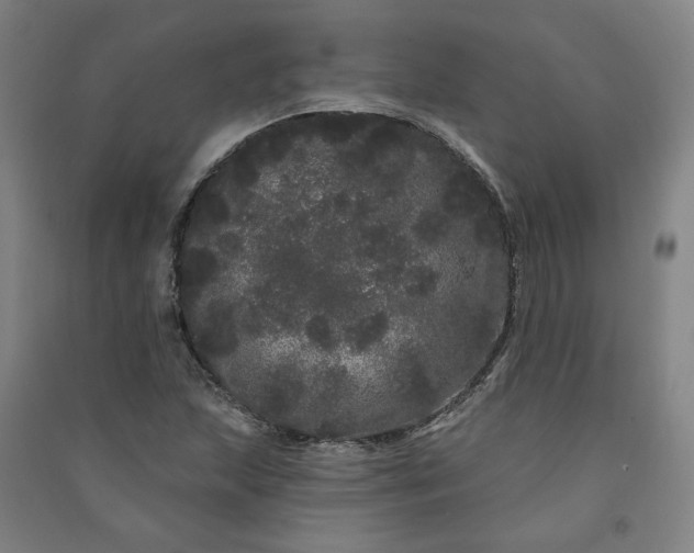 X0000091091215200708201449
