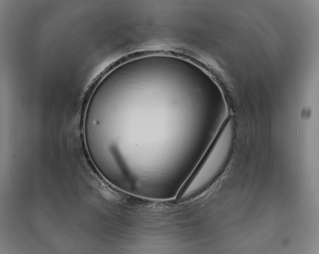 X0000091091216200708201449