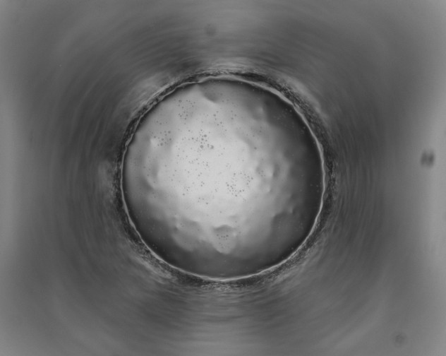 X0000091091217200708201449