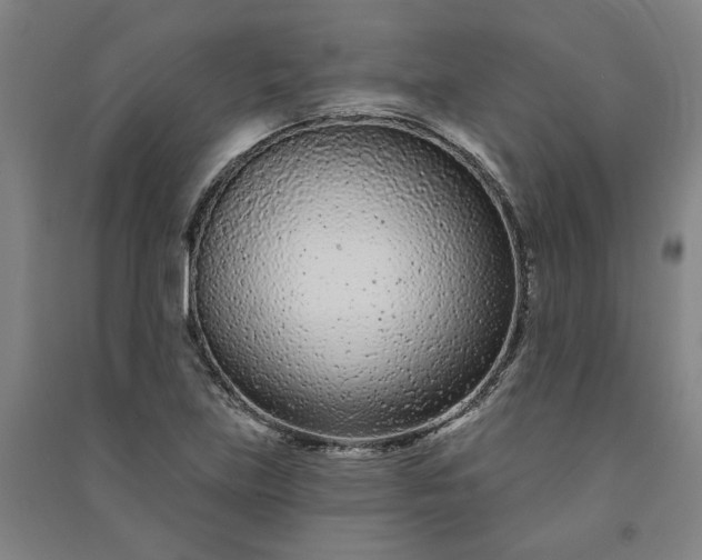 X0000091091219200708201449