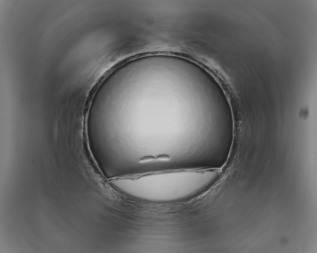 X0000091091220200708201450