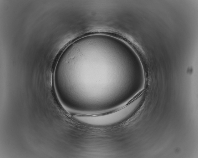 X0000091091221200708201450