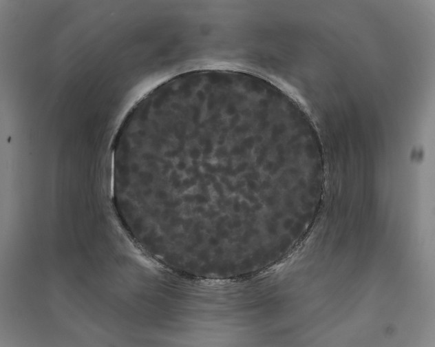 X0000091091223200708201450