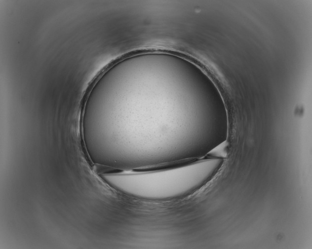 X0000091091224200708201450