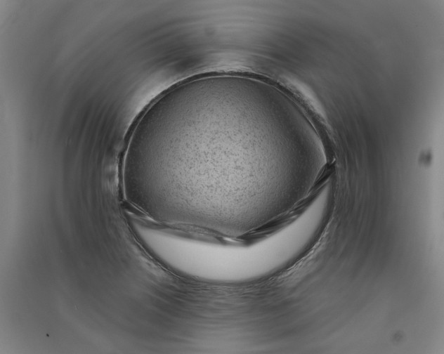 X0000091091226200708201450